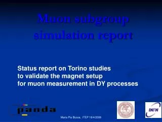 Muon subgroup simulation report