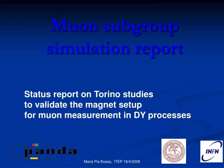 muon subgroup simulation report