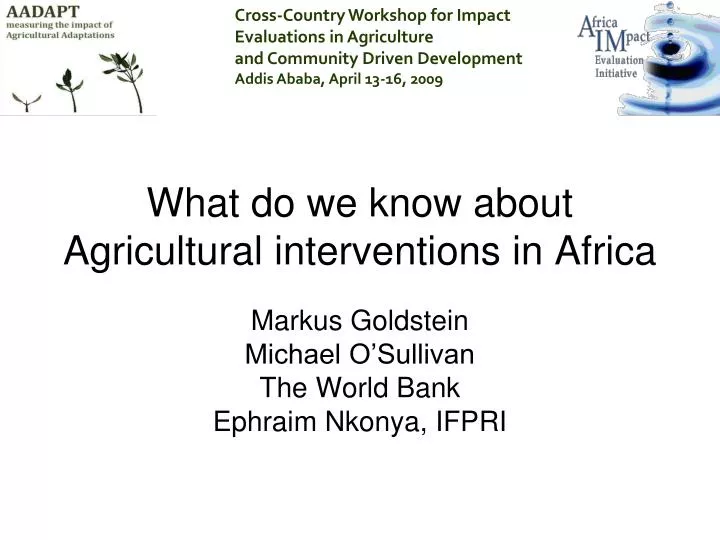 what do we know about agricultural interventions in africa