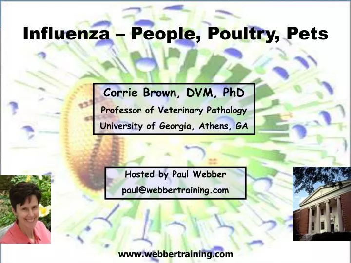influenza people poultry pets