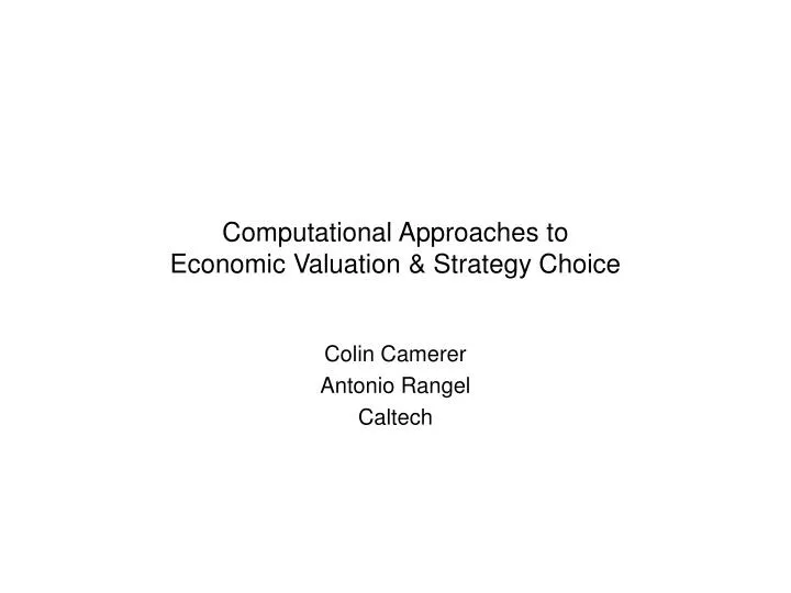 computational approaches to economic valuation strategy choice