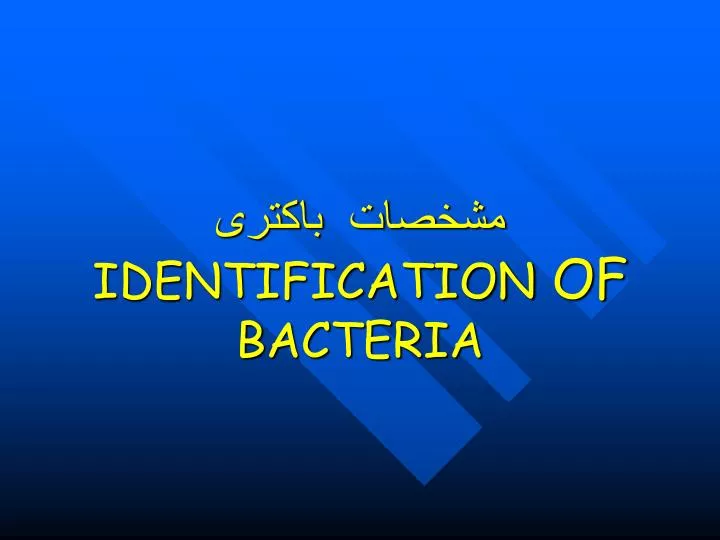 identification of bacteria