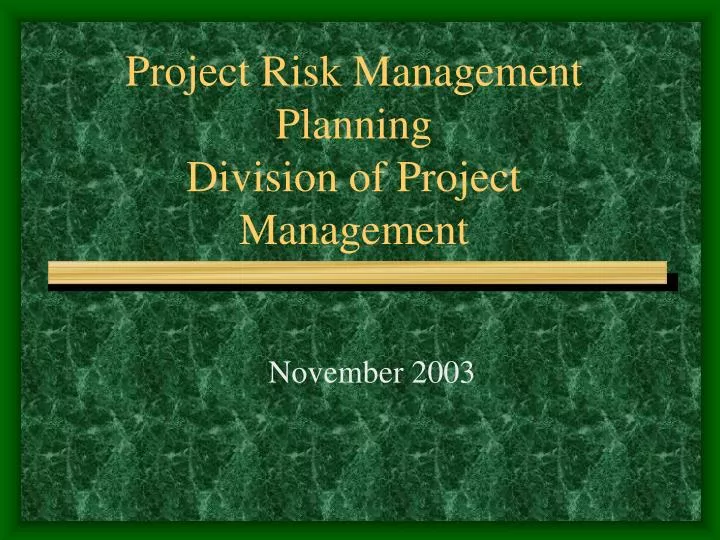 project risk management planning division of project management