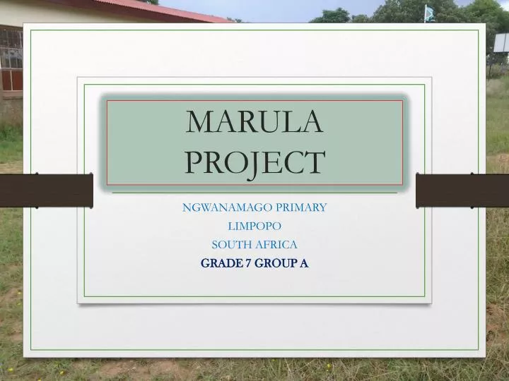 marula project
