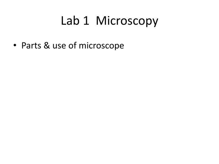 lab 1 microscopy