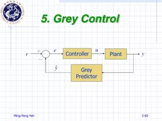 5. Grey Control