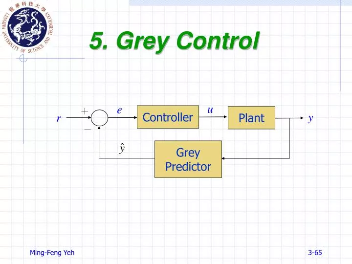 5 grey control
