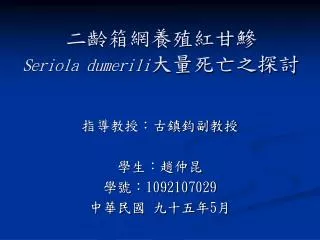 seriola dumerili