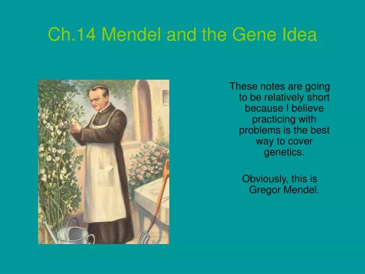 ch 14 mendel and the gene idea