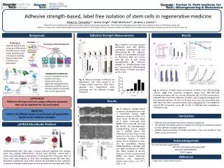 Adhesive strength-based, label free isolation of stem cells in regenerative medicine