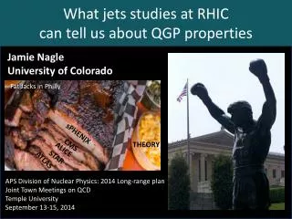 What jets studies at RHIC can tell us about QGP properties