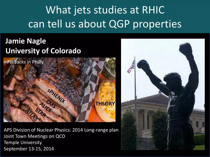 what jets studies at rhic can tell us about qgp properties
