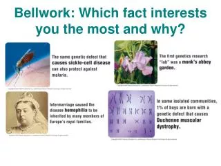 Bellwork : Which fact interests you the most and why?