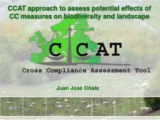 CCAT approach to assess potential effects of CC measures on biodiversity and landscape