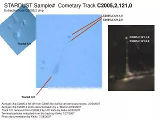 STARDUST Sample# Cometary Track C2005,2,121,0 Extracted from C2005,2 chip