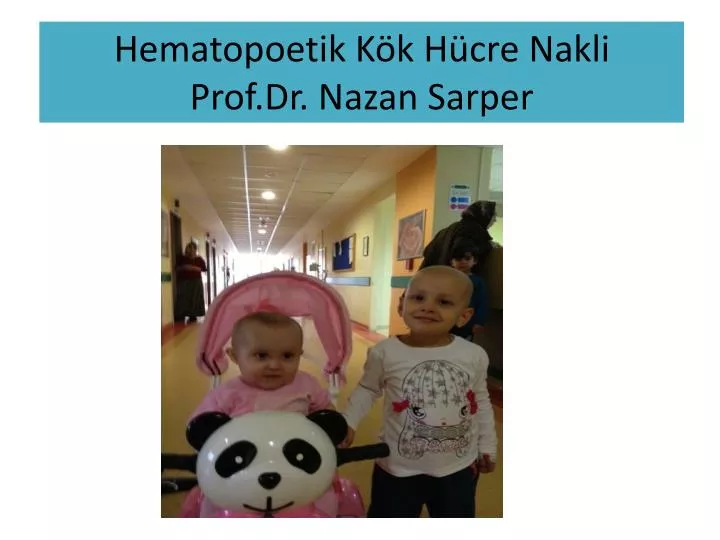 hematopoetik k k h cre nakli prof dr nazan sarper