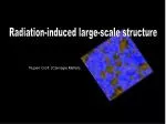 Radiation-induced large-scale structure - slide 1