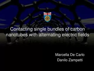Contacting single bundles of carbon nanotubes with alternating electric fields