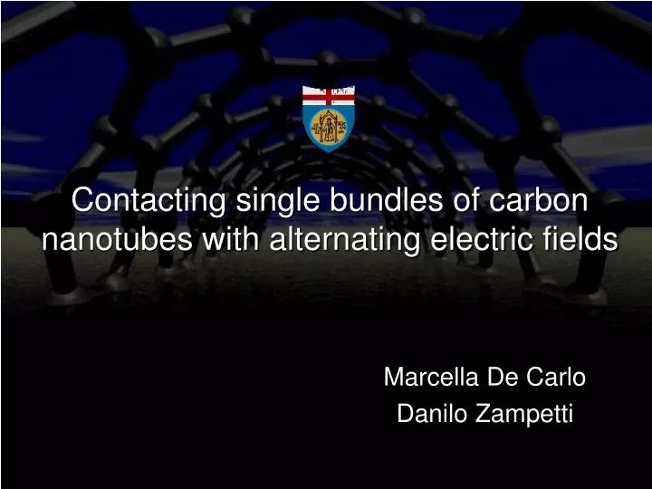 contacting single bundles of carbon nanotubes with alternating electric fields