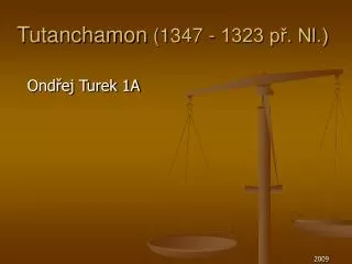 tutanchamon 1347 1323 p nl