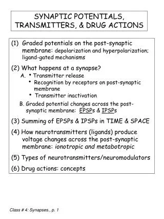 SYNAPTIC POTENTIALS, TRANSMITTERS, &amp; DRUG ACTIONS