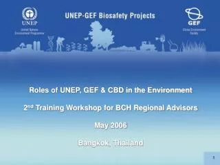 Roles of UNEP, GEF &amp; CBD in the Environment 2 nd Training Workshop for BCH Regional Advisors