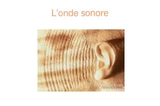 l onde sonore