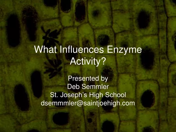 what influences enzyme activity