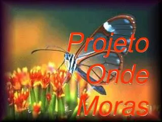 projeto onde moras