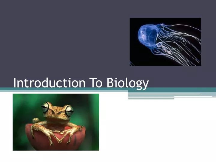 introduction to biology