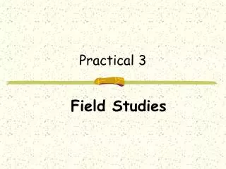 Practical 3