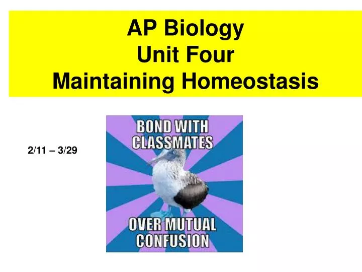 ap biology unit four maintaining homeostasis