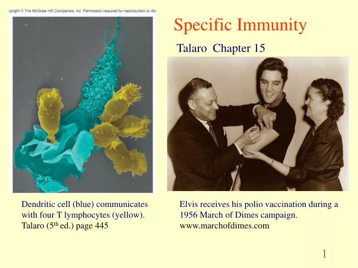 specific immunity
