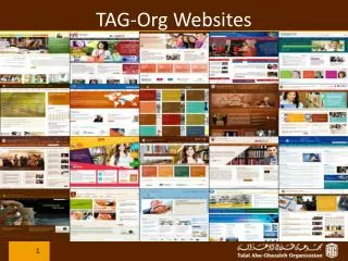 TAG-Org Websites