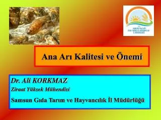 ana ar kalitesi ve nemi