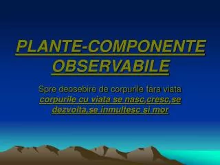 plante componente observabile