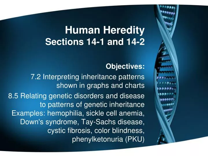 human heredity sections 14 1 and 14 2