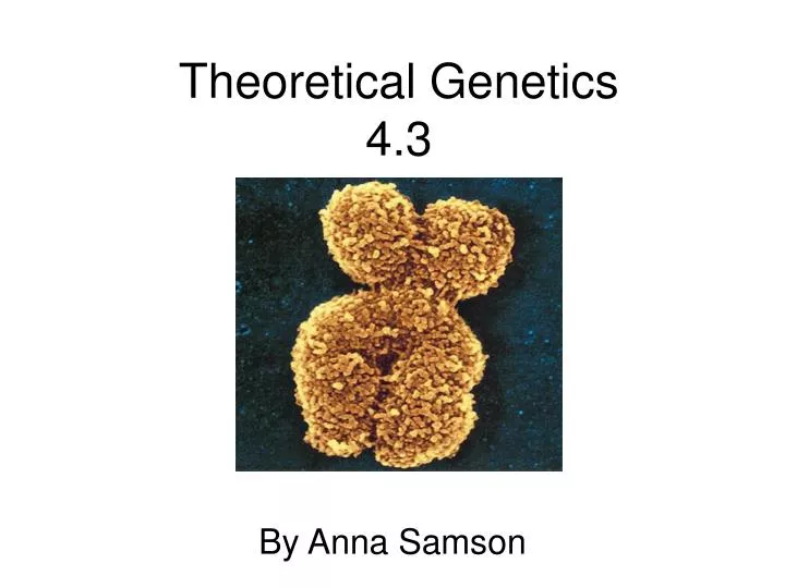 theoretical genetics 4 3