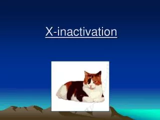 X-inactivation