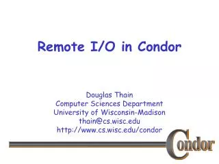 Remote I/O in Condor