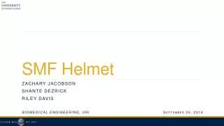 SMF Helmet