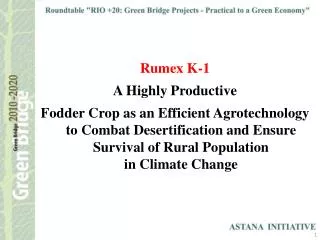 Rumex K-1 A Highly Productive