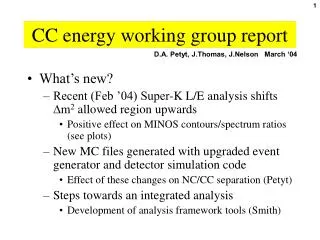 CC energy working group report