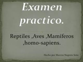 examen practico