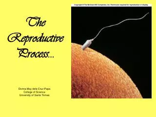 the reproductive process