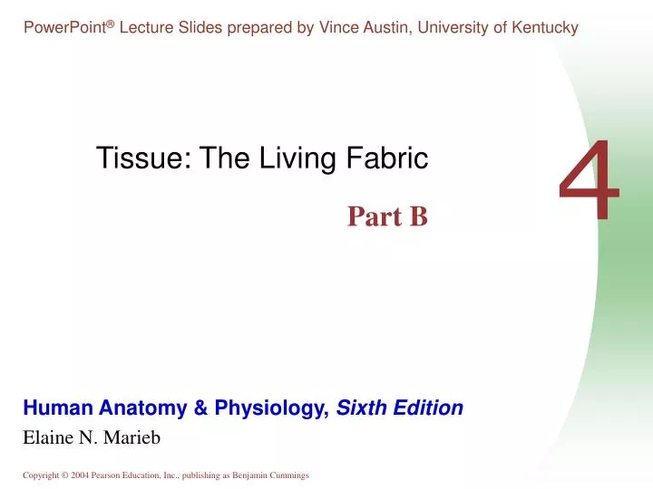 tissue the living fabric part b