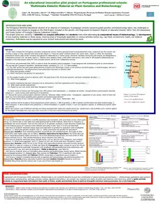 An educational innovative pilot project on Portuguese professional schools: