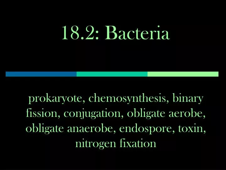 18 2 bacteria