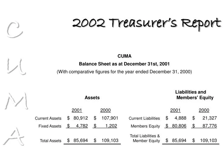 2002 treasurer s report