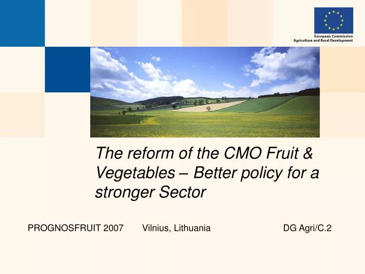 the reform of the cmo fruit vegetables better policy for a stronger sector